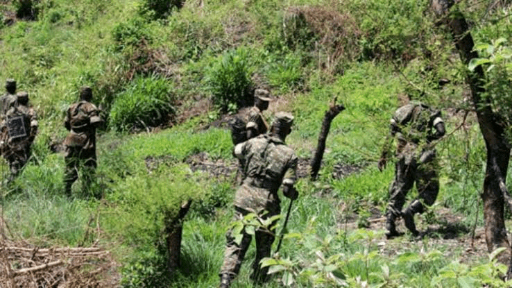 RDC-Ituri : Plus de 240 éléments rebelles du  CODECO tués lors d'affrontements avec l'armée ougandaise<br>