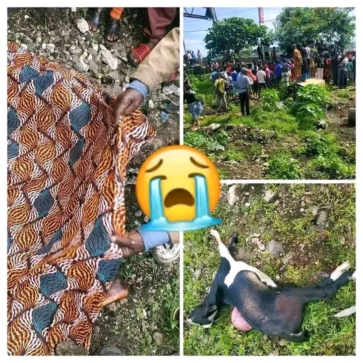 RDC-GOMA: Une explosions d'une bombe fais ravagé à Goma près du cimetière de l'ITIG Ce samedi 26 avril